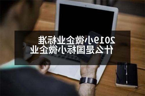 2019小微企业标准 什么是国标小微企业